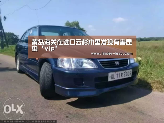乐鱼体育在线登陆