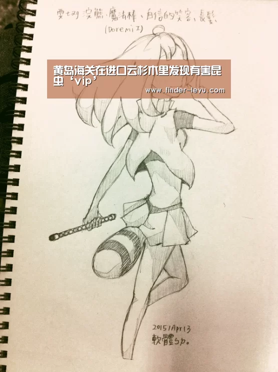 黄岛海关在进口云杉木里发现有害昆虫‘vip’(图2)