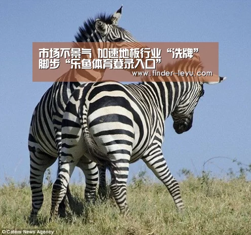市场不景气 加速地板行业“洗牌”脚步“乐鱼体育登录入口”(图1) 乐鱼体育登录入口