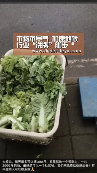 市场不景气 加速地板行业“洗牌”脚步“乐鱼体育登录入口”(图2) 注册