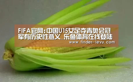 乐鱼体育在线登陆
