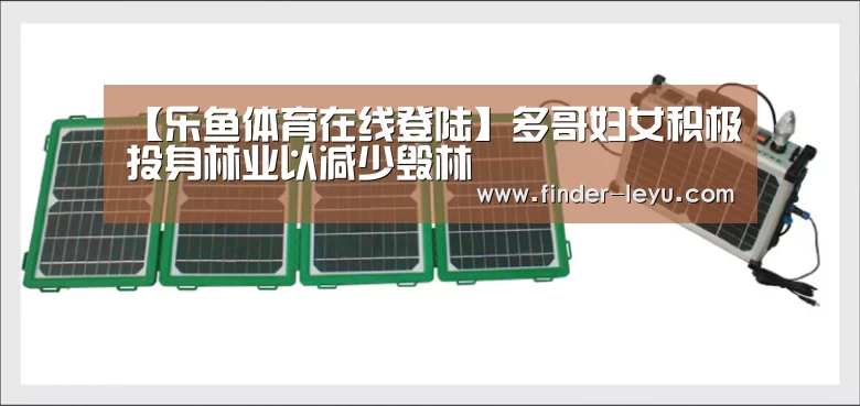 【乐鱼体育在线登陆】多哥妇女积极投身林业以减少毁林(图2) 乐鱼体育登录入口