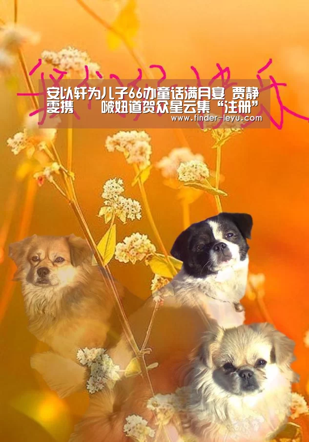 安以轩为儿子66办童话满月宴 贾静雯携咘咘啵妞道贺众星云集“注册”(图1)