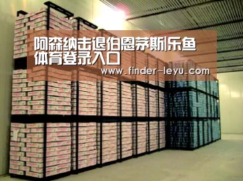 阿森纳击退伯恩茅斯|乐鱼体育登录入口(图2) 注册