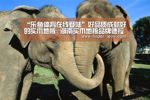 乐鱼体育登录入口