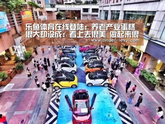 乐鱼体育在线登陆:养老产业蛋糕很大却没成:看上去很美 做起来很累(图4) 乐鱼体育登录入口