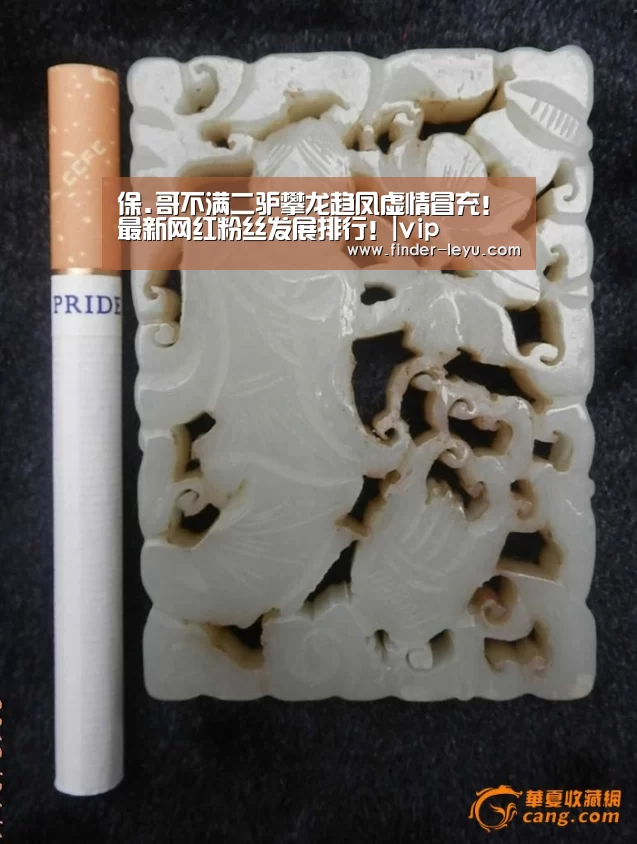 
保.哥不满二驴攀龙趋凤虚情冒充！最新网红粉丝发展排行！|vip(图3)