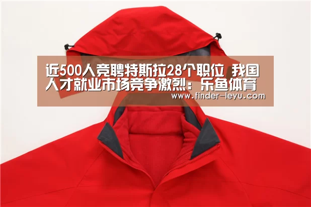 近500人竞聘特斯拉28个职位 我国人才就业市场竞争激烈:乐鱼体育在线登陆(图3) 注册