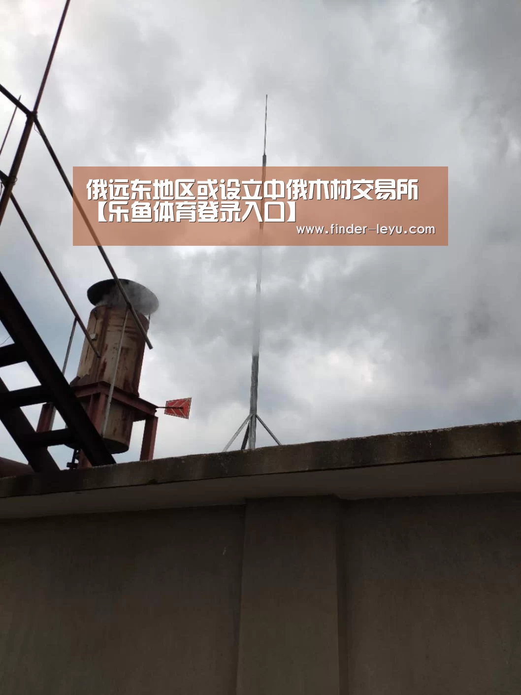 俄远东地区或设立中俄木材交易所【乐鱼体育登录入口】(图1) 乐鱼体育登录入口